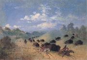 George Catlin Comanche Indians Chasing Buffalo with Lances and Bows Spain oil painting artist